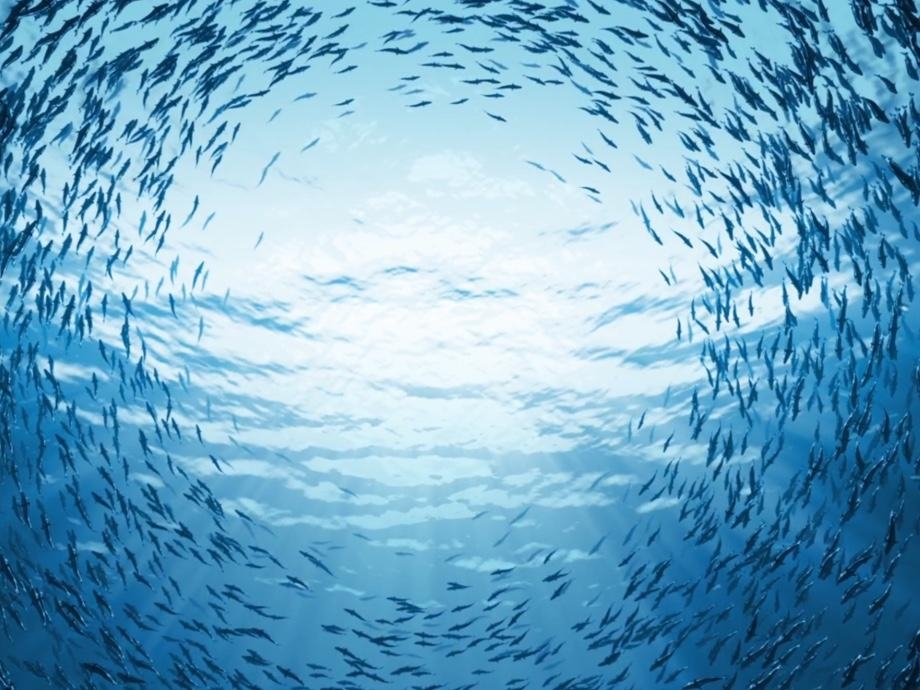 TUYI 图易设计 | 图易出品—小团队管理利器“沙丁”